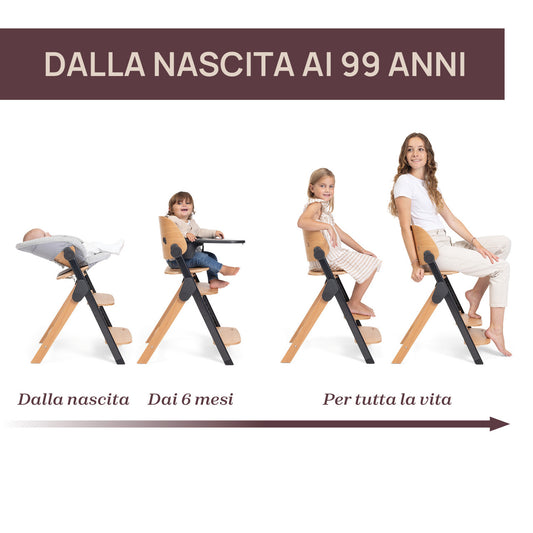 Seggiolone pappa Evolutivo Meraviglia omaggio imbottitura seduta