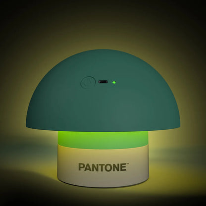 PANTONE LAMPADA DEI COLORI